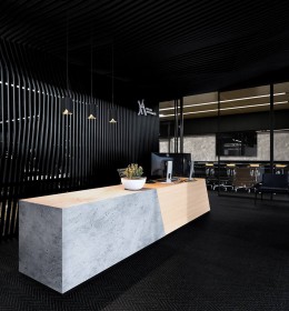 interior-design-office-proekt9009